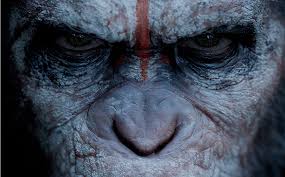 Bu hafta vizyonda “gerilim” var