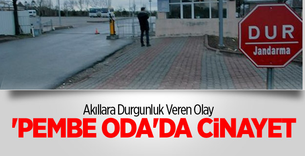 Pembe oda kadın cinayeti…