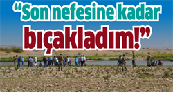 Katli helal mi?