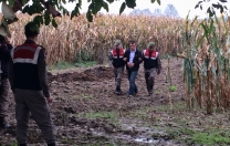 Katil eden tarla savaşları…