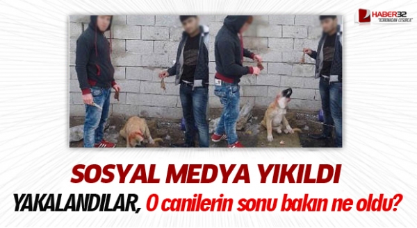 o_caniler_yakalandi_h97162_31497