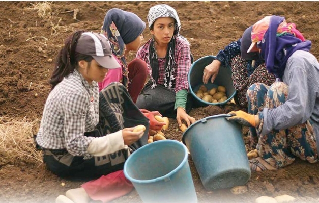 Ağbaba: Çocuk işçi sayısı ürkütüyor