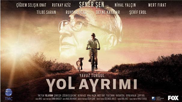 Yol ayrımı gösterimde
