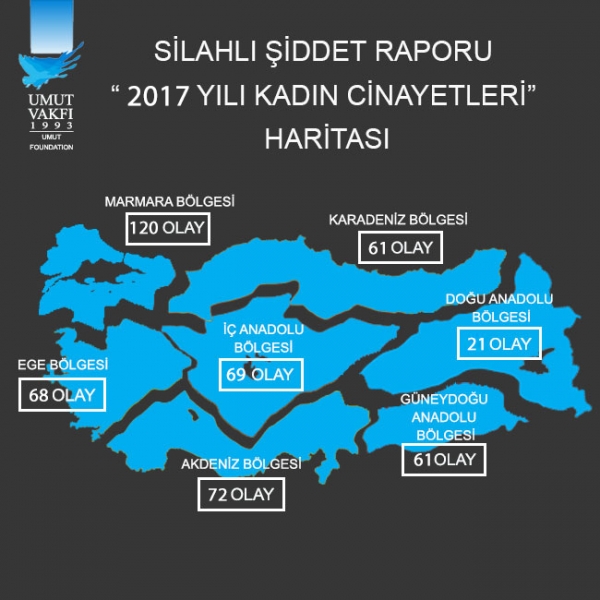 2017Bolgeler kadin siddet (3)