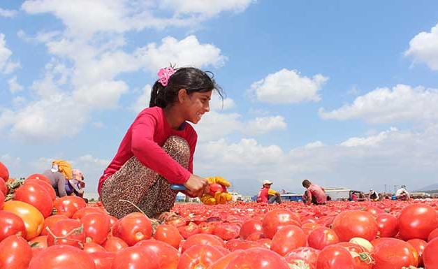 Çocuklar güvende değil: 18 bini istismara uğradı, 2 milyon çocuk çalıştırılıyor