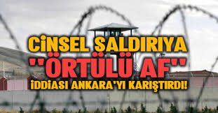 Cinsel saldırıya ‘örtülü af’ var