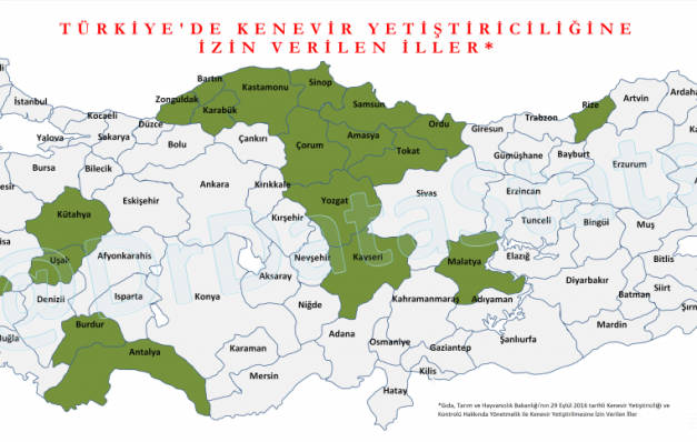EGM’nin “Kenevir ve Türevleri” raporu…