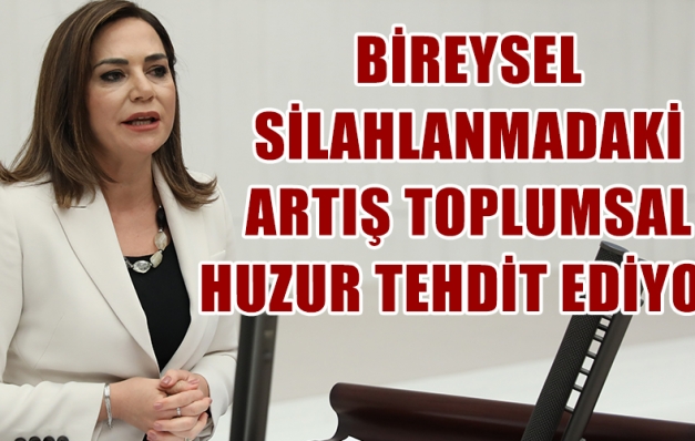 “Bireysel silahlanmadaki kontrolsüz gidişe ‘dur’ denmeli”