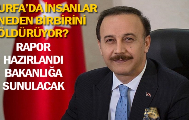 Urfa Valisi Erin’den silahsızlanma çağrısı