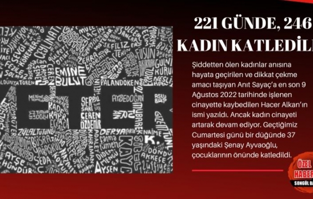 221 günde 246 kadın katledildi