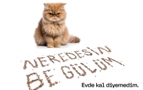 SONBAHARIN EN GÜZEL HABERCİSİ:  Filmekimi