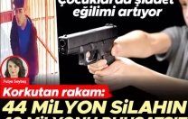 Korkutan rakam: 44 milyon silahın 40 milyonu ruhsatsız
