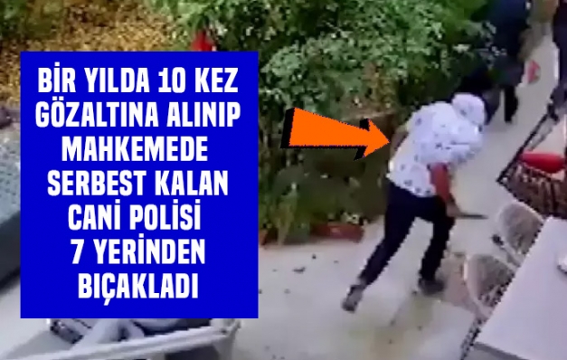 Şiddetin önlenemeyen yükselişi…