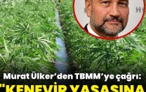 Vahşet…